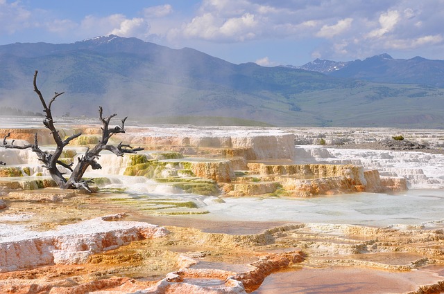 Yellowstone and Tetons National Parks