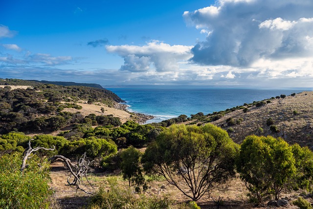 new south wales